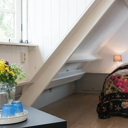 The Lazy Bed and Breakfast